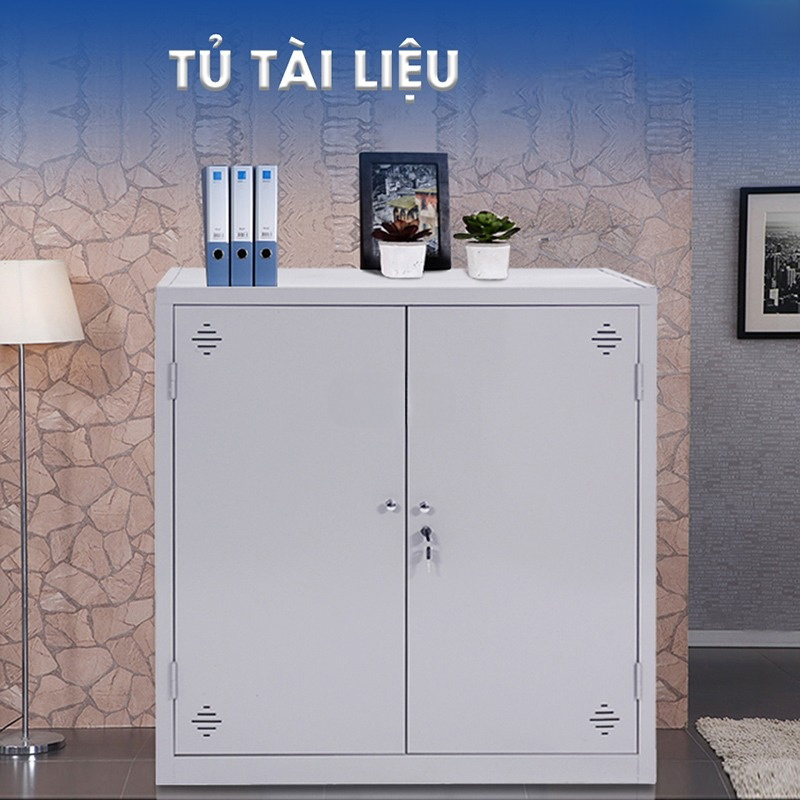 Tủ hồ sơ sắt TSF13 - Ảnh 1 Tủ hồ sơ sắt TSF13