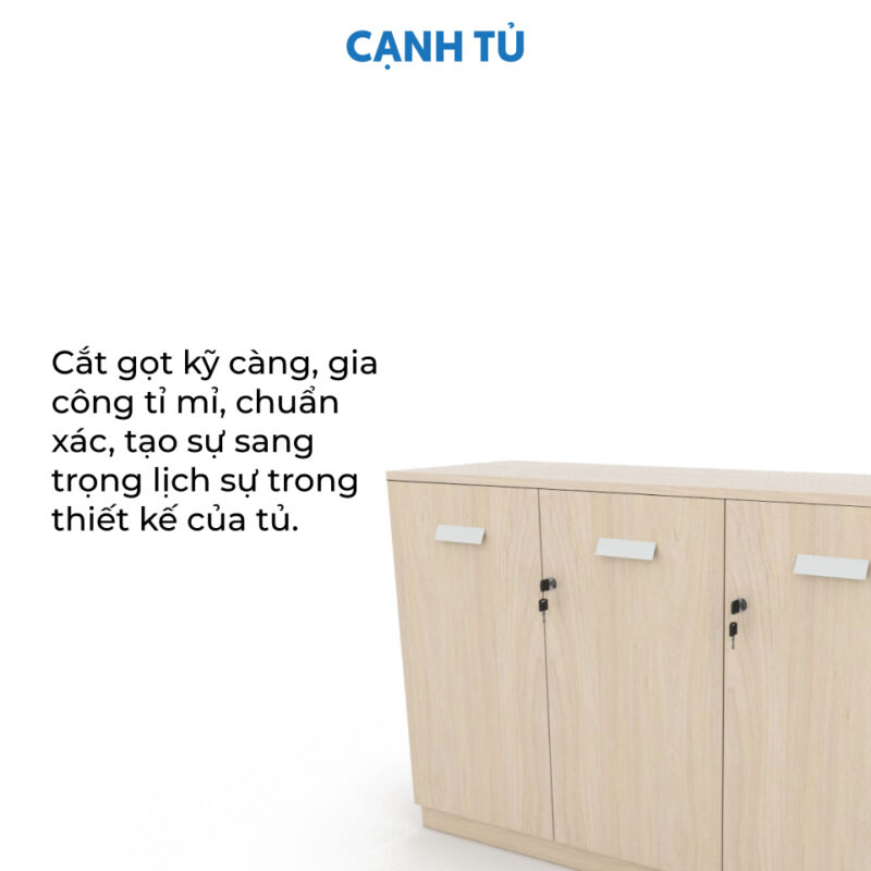 Tủ hồ sơ thấp HSTF05