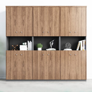 Tủ giám đốc TGDF11
