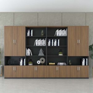 Tủ giám đốc TGDF29