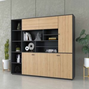 Tủ giám đốc TGDF30 - Ảnh 11 Tu Giam Doc Tgdf30 R5j95lqe