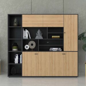 Tủ giám đốc TGDF30 - Ảnh 9 Tu Giam Doc Tgdf30 Zrp8dzk0