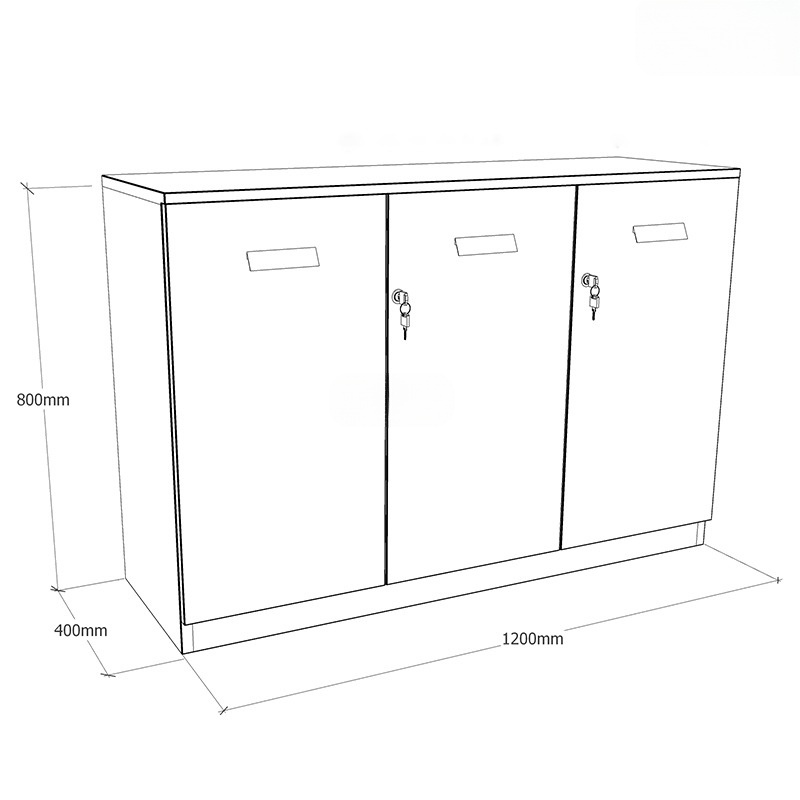 Tủ hồ sơ thấp HSTF05 - Ảnh 6 Tu Ho So Thap Hstf05 1rbz3uvx