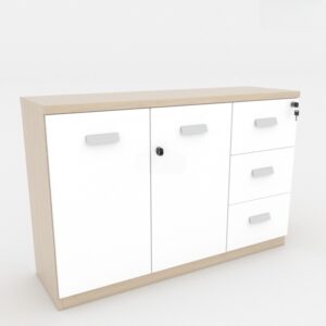 Tủ hồ sơ thấp HSTF06 - Ảnh 6 Tu Ho So Thap Hstf06 Odknz9li