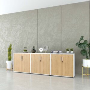Tủ hồ sơ thấp HSTF14 - Ảnh 8 Tu Ho So Thap Hstf14 0dis2wh3
