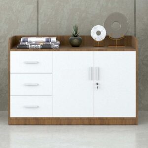 Tủ hồ sơ thấp HSTF16 - Ảnh 9 Tu Ho So Thap Hstf16 I7janxu8