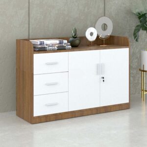 Tủ hồ sơ thấp HSTF16 - Ảnh 10 Tu Ho So Thap Hstf16 Us8oyt7t
