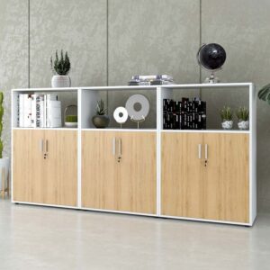 Tủ hồ sơ thấp HSTF18 - Ảnh 8 Tu Ho So Thap Hstf18 7f3d8x64