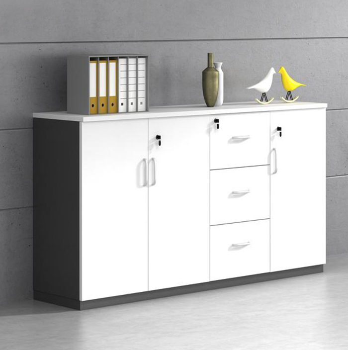 Tủ hồ sơ thấp HSTF25 - Ảnh Tủ hồ sơ thấp HSTF25