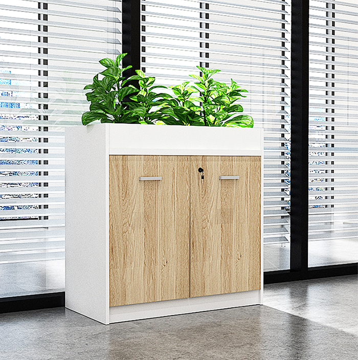 Tủ hồ sơ thấp HSTF50 - Ảnh Tủ hồ sơ thấp HSTF50